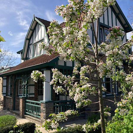 Tree & B Bed & Breakfast Brugge Bagian luar foto