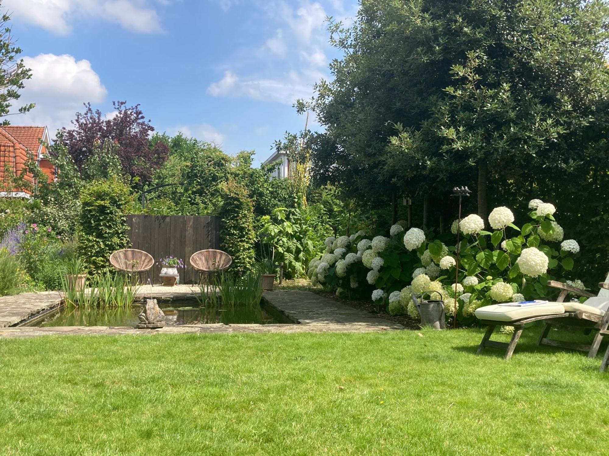 Tree & B Bed & Breakfast Brugge Bagian luar foto
